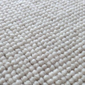 IMG_1145 Carpet Cleaning