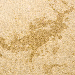 spill Blood and trauma carpet cleaning